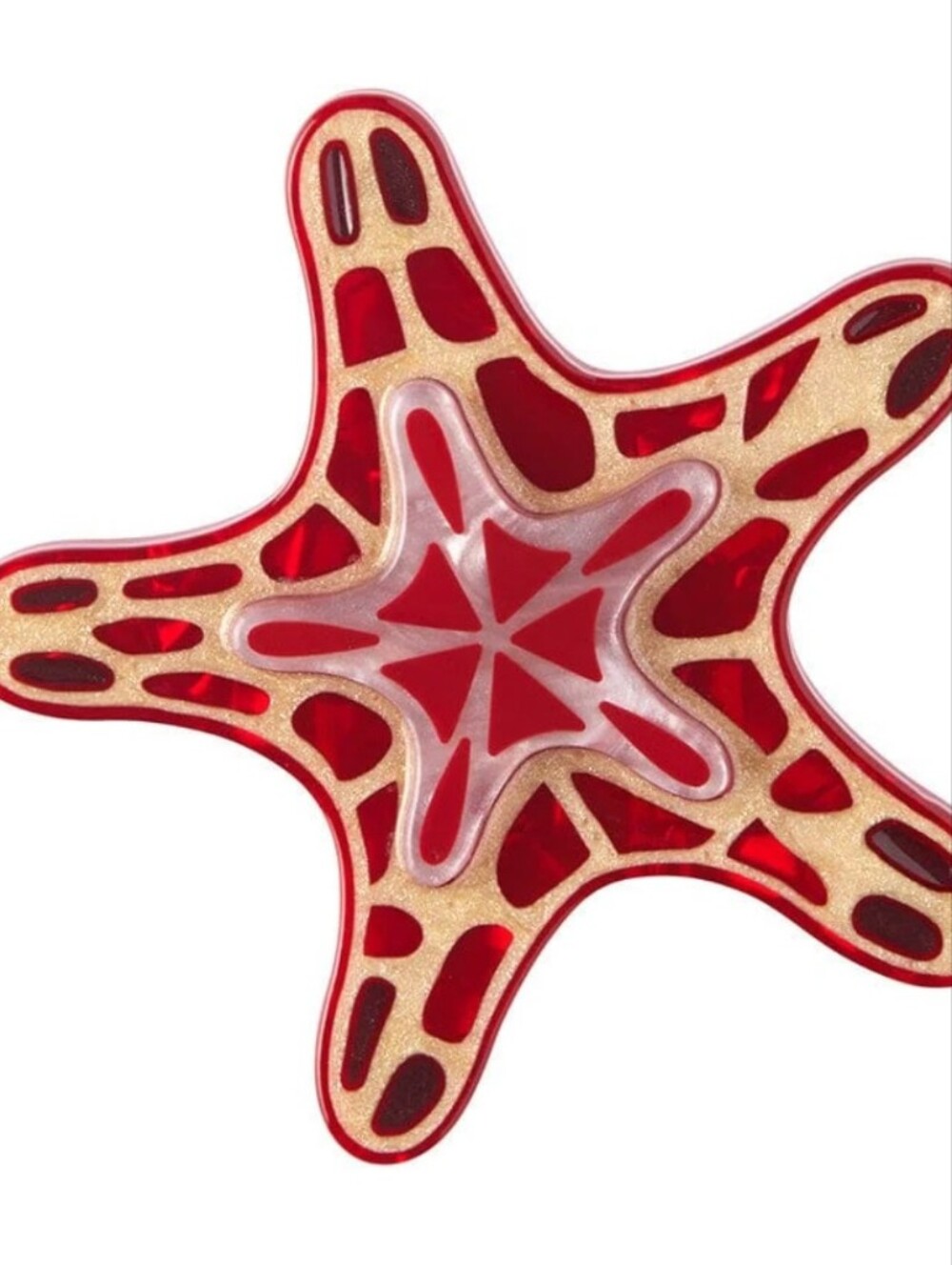 Erstwilder Sacred Starfish Brooch Pete Cromer